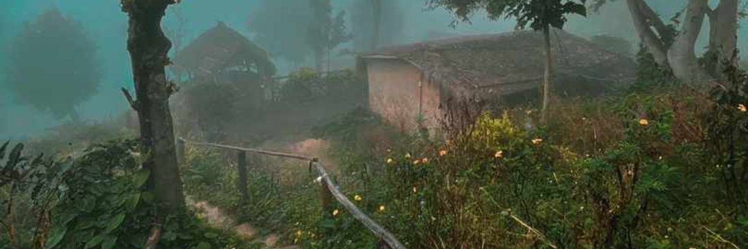 ഇഞ്ചിയുട്ടായ് 🦋 banner