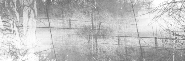 Vinlaa_Sol Profile Banner