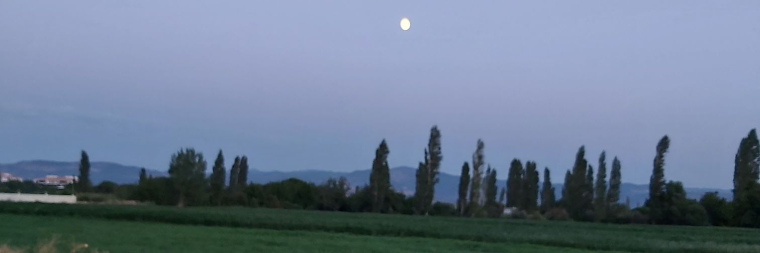 yucelakbal's profile banner image