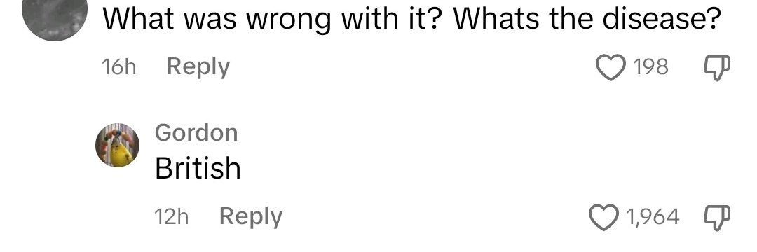 Doki 3D | Commissions Open banner