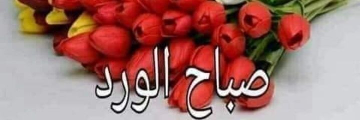 R@a71 banner