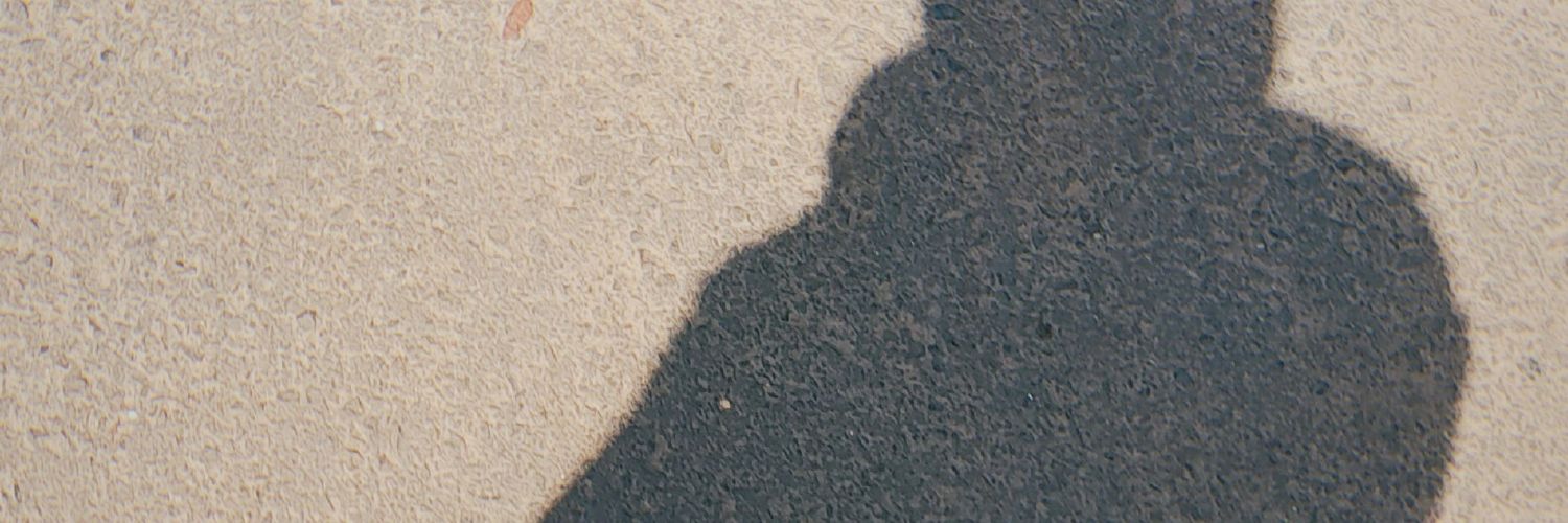 minthoos's profile banner image