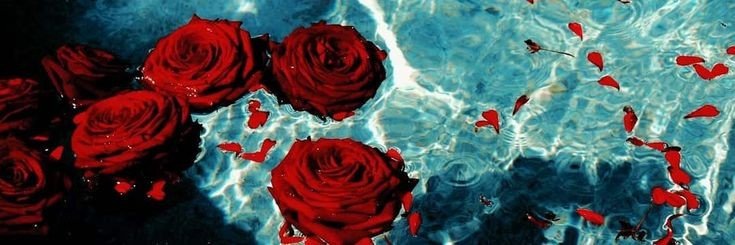 Empire_661's profile banner image