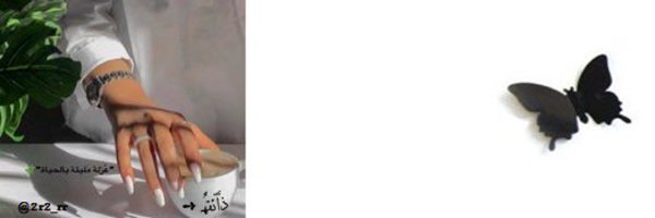 2r2_rr Profile Banner