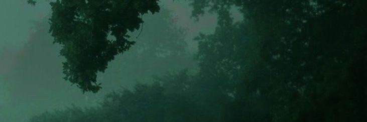 ariuug_'s profile banner image