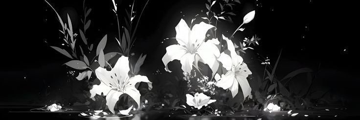 Anemone🪼||Дочь Чжунллетов. banner