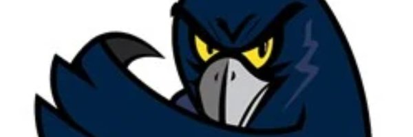 HudsonFiene Profile Banner