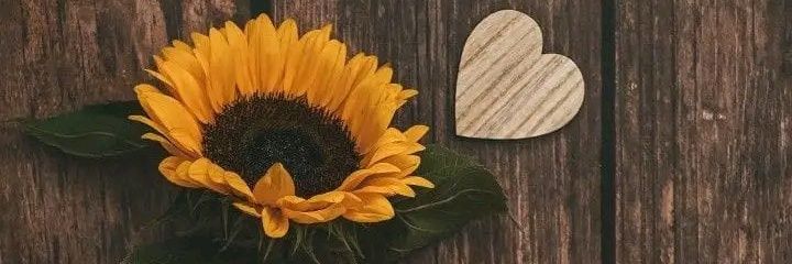 Geily Bermúdez Rodríguez banner