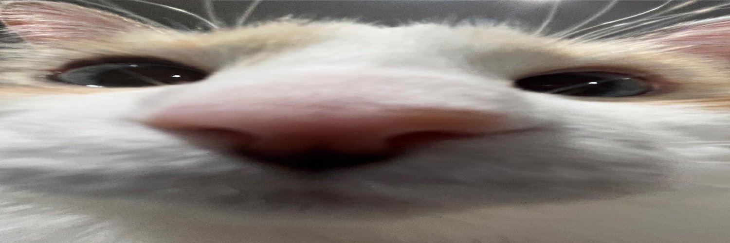 BlasterzMaster's profile banner image