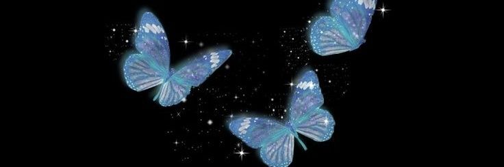 parinazmf's profile banner image