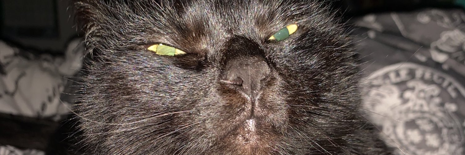 Cat_Impact's profile banner image
