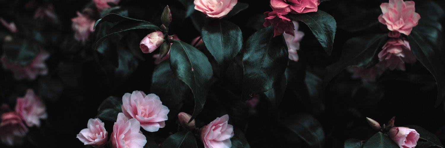 JenWalker613's profile banner image