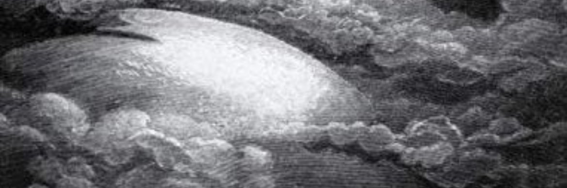 TF banner
