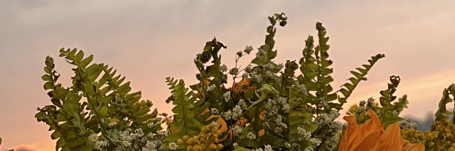 llv1994's profile banner image