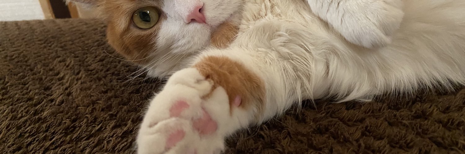 KATAOKA Genichi banner