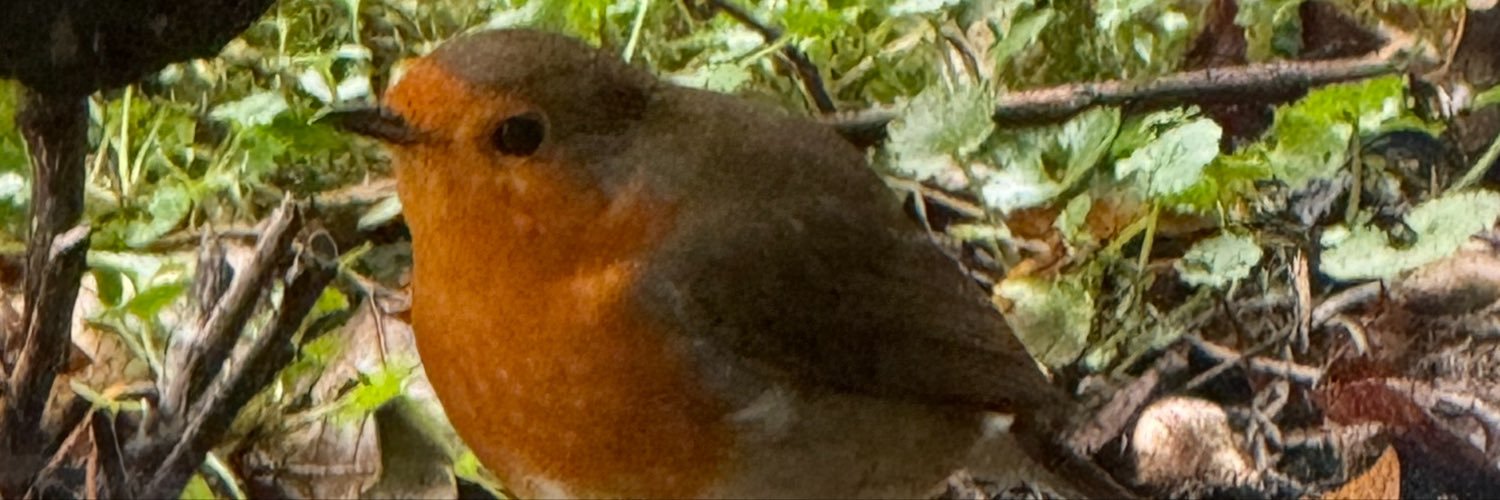 forwardnotback's profile banner image