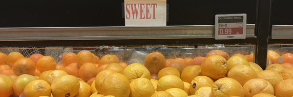 LilyHG Profile Banner