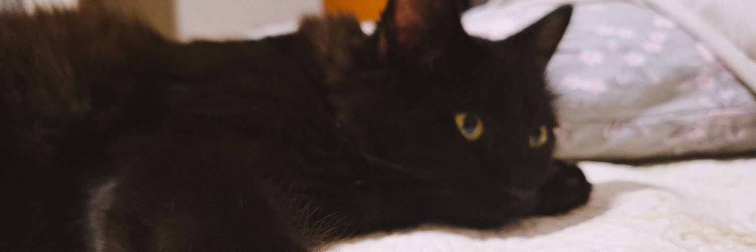 molulina's profile banner image