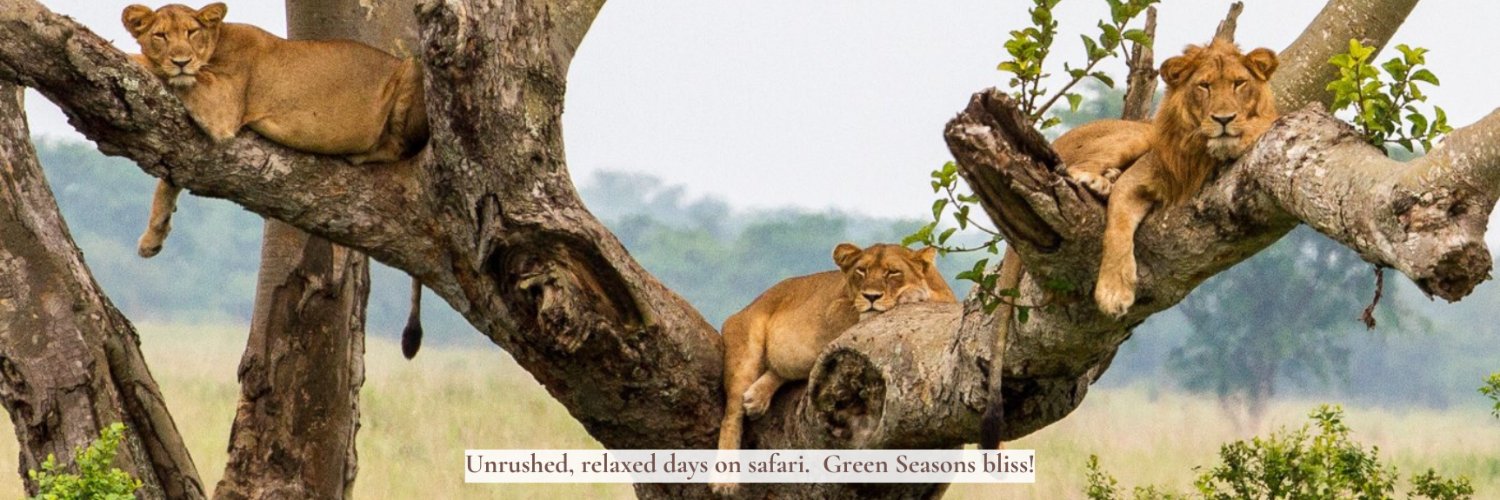 AfricanPathfind's profile banner image