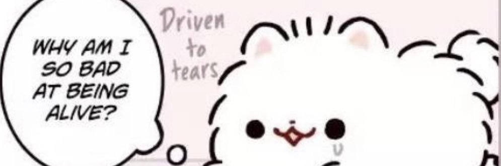 nivera_'s profile banner image