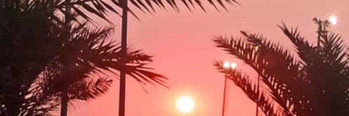 jadaivic's profile banner image