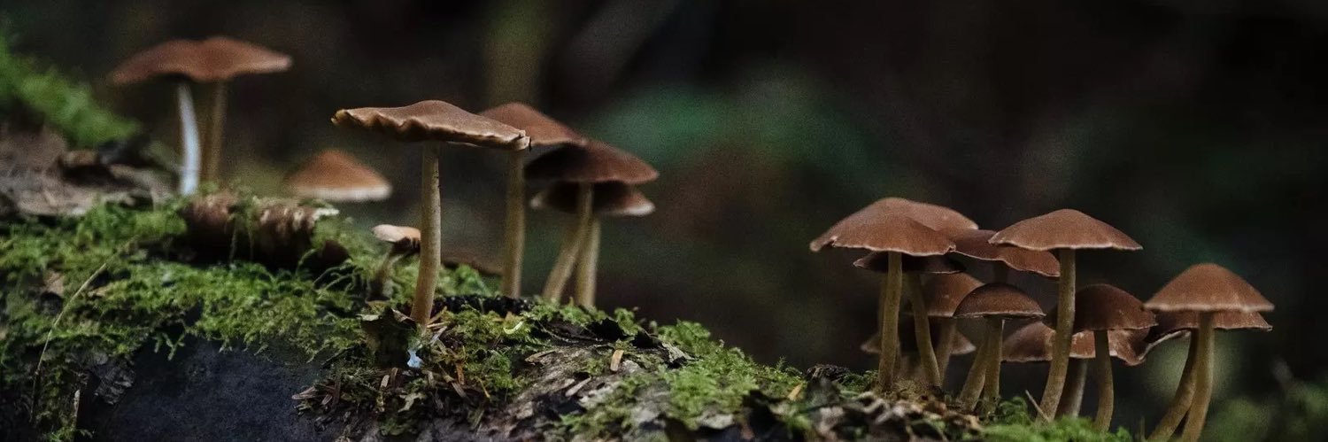 Gloom_Bugg's profile banner image