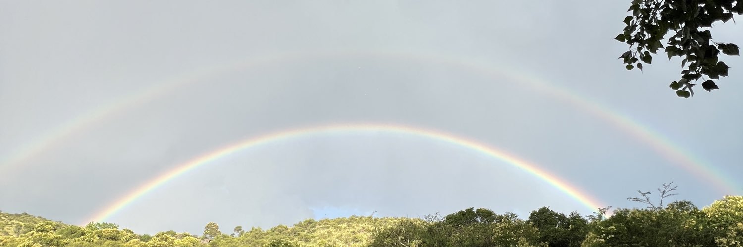 azulcognoo's profile banner image