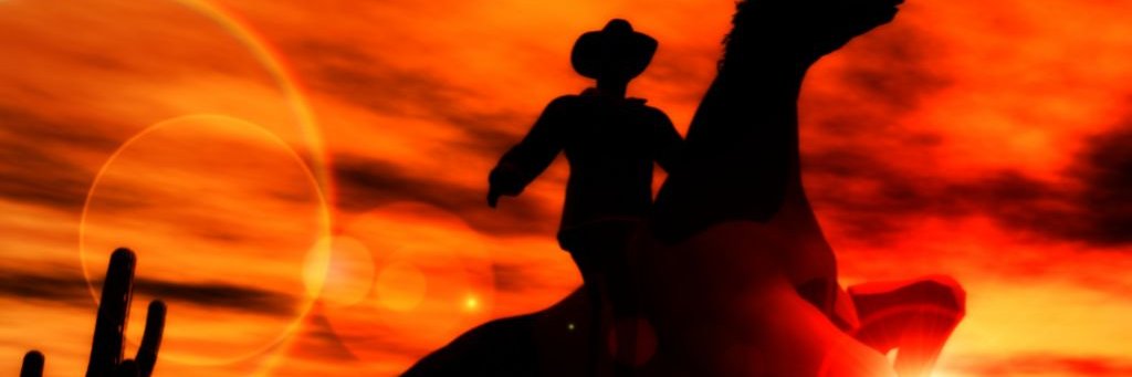 WildWest Finance banner