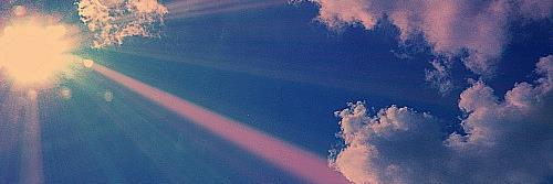 Little Bird banner