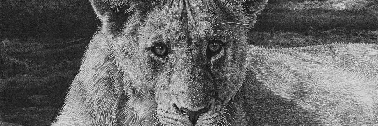 William Grimm banner