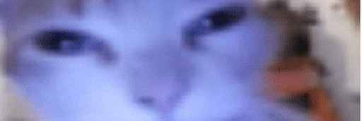 aselikayedek's profile banner image