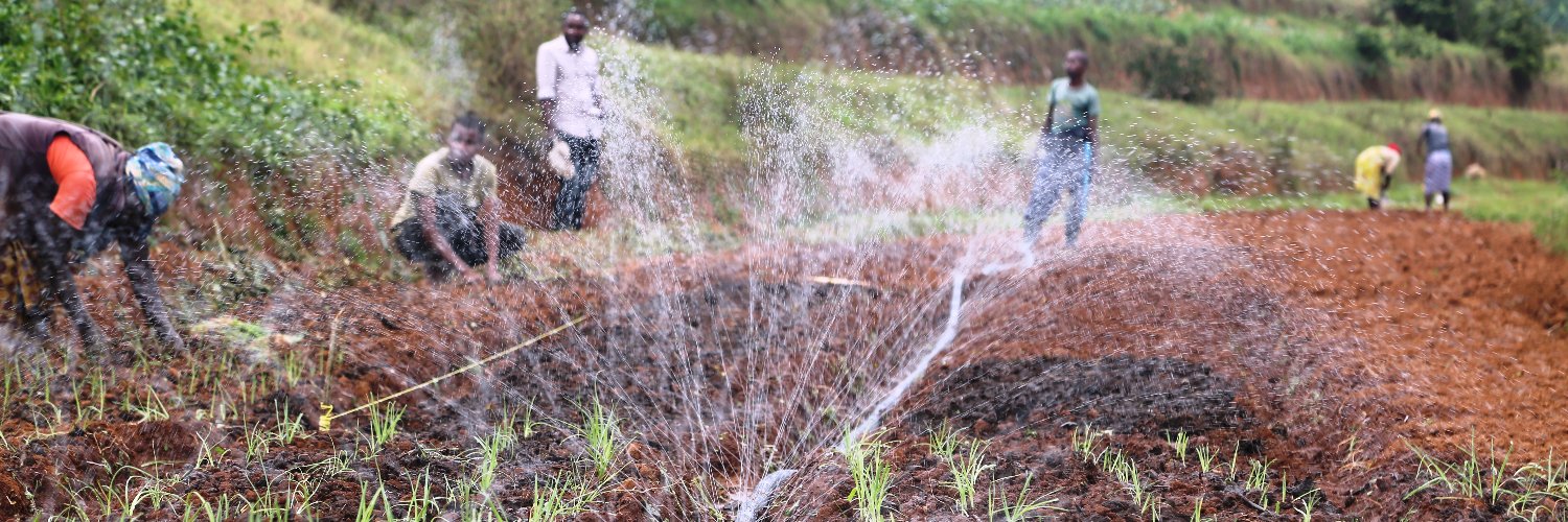MINAGRI/RAB SPIU WorldBank & KOICA funded projects banner