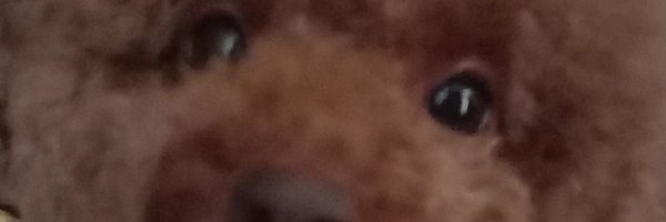 00ZeD00 Profile Banner