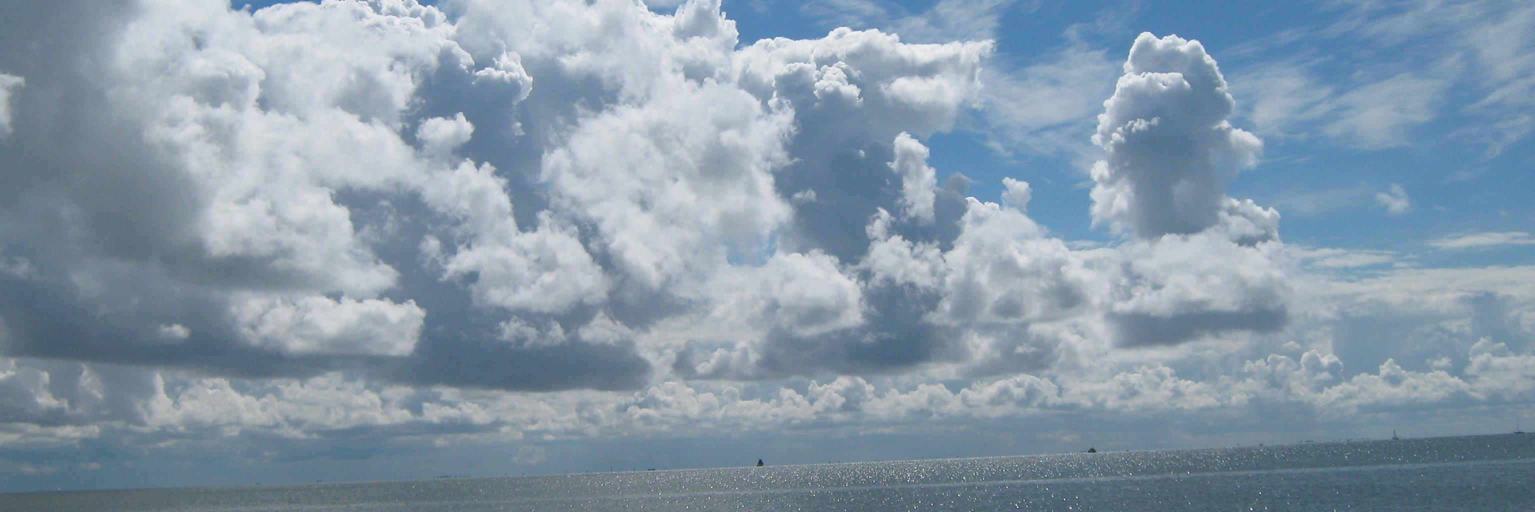 mcubbink's profile banner image