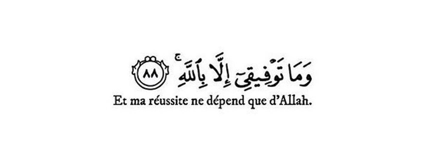 Fvlilù 🕊️🇸🇳⭐️⭐️ banner