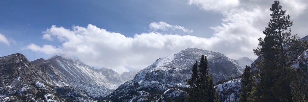 EricaPietz's profile banner image