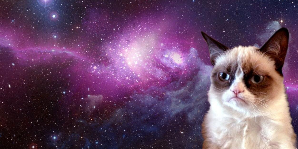 SpoonieProblems's profile banner image
