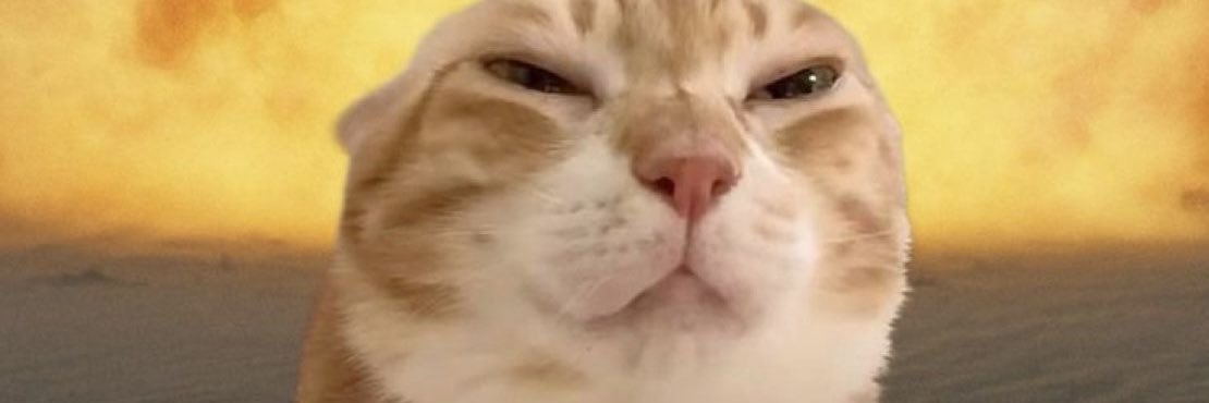bebe ✦ banner