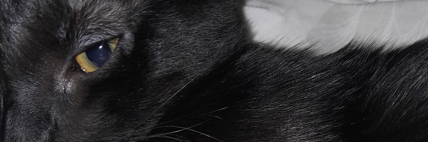 nanawb11's profile banner image
