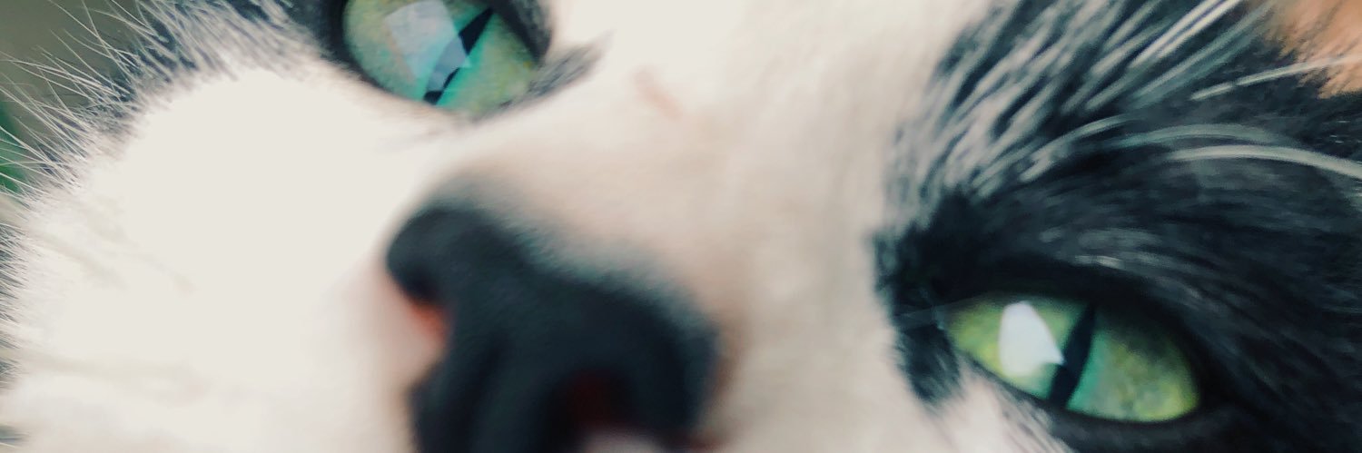 Tiadoylee's profile banner image