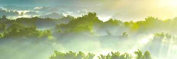 devgunharsh2003's profile banner image