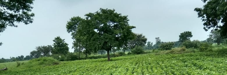 0xMahesh |.dime banner