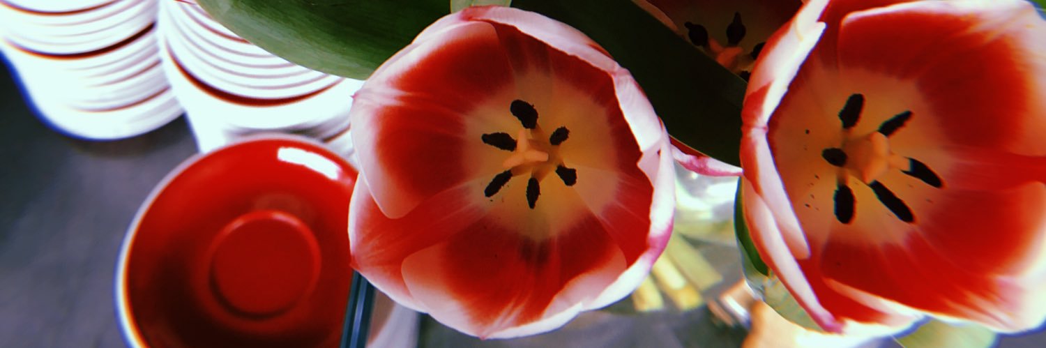 IsabellaBarrand's profile banner image
