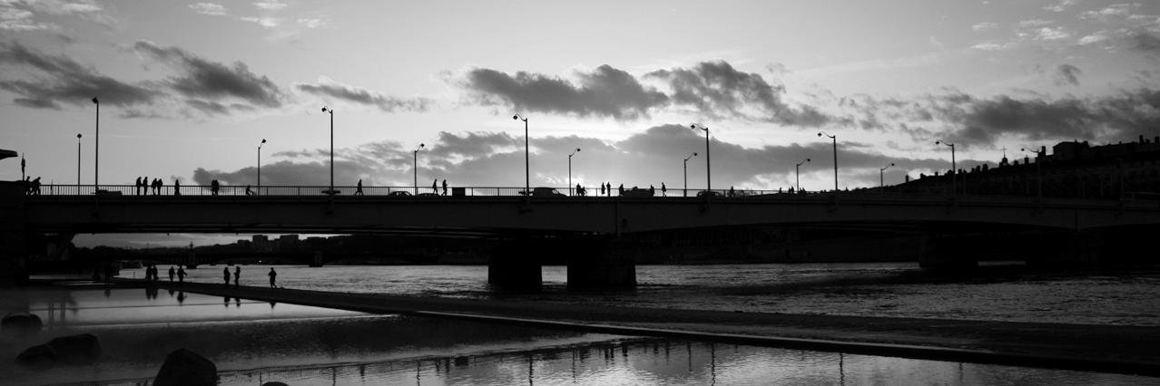 Triangle - UMR 5206 banner