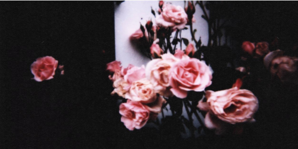 AlexaCaverlyCWA's profile banner image