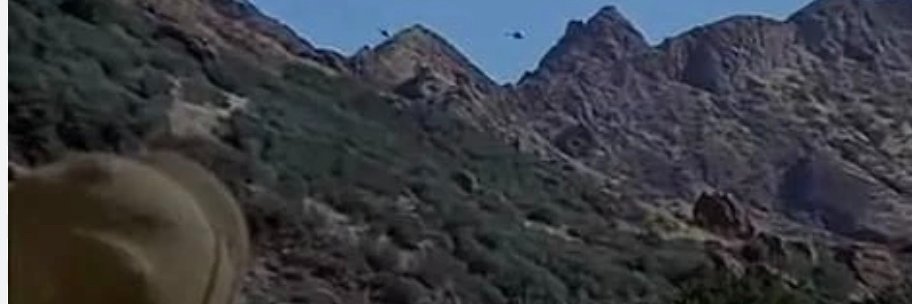 David Templeton banner