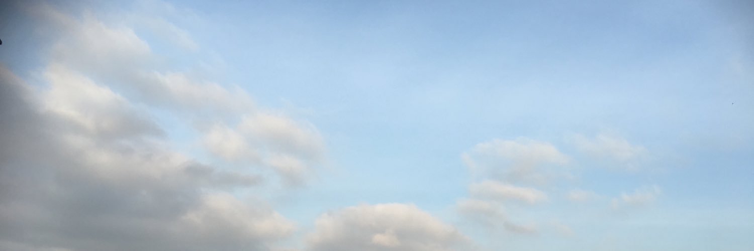 kesaust's profile banner image