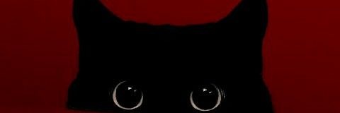 Dami Lee banner