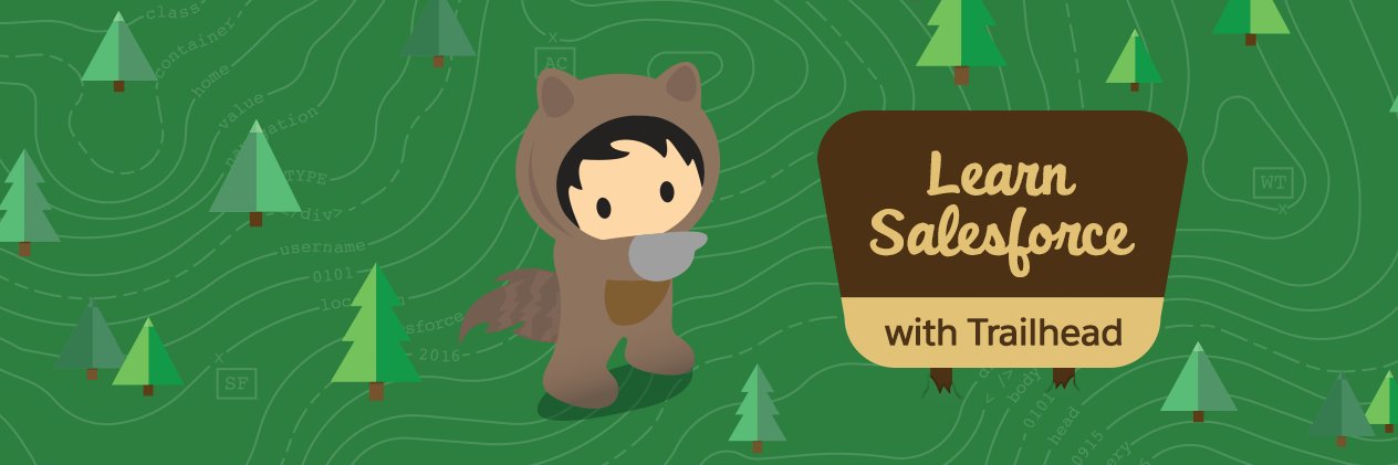 salesforceQueen's profile banner image