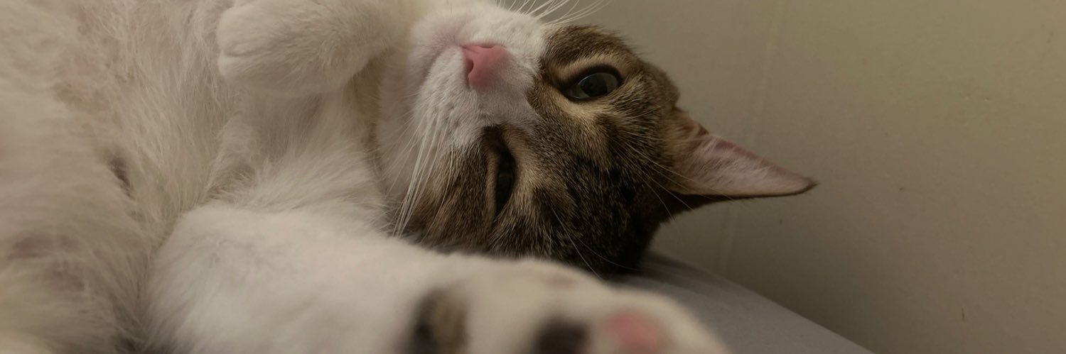 Hunnxr's profile banner image